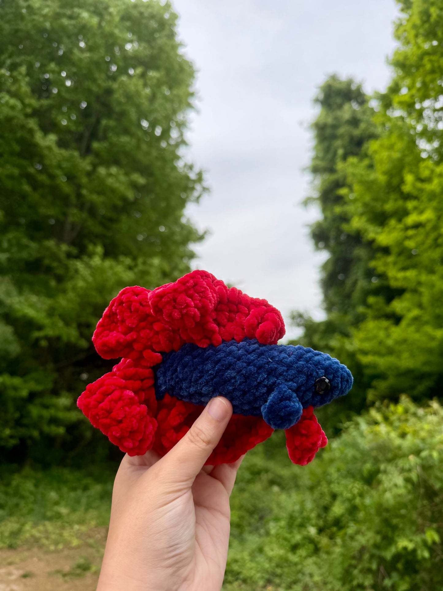 Crochet Beta Fish