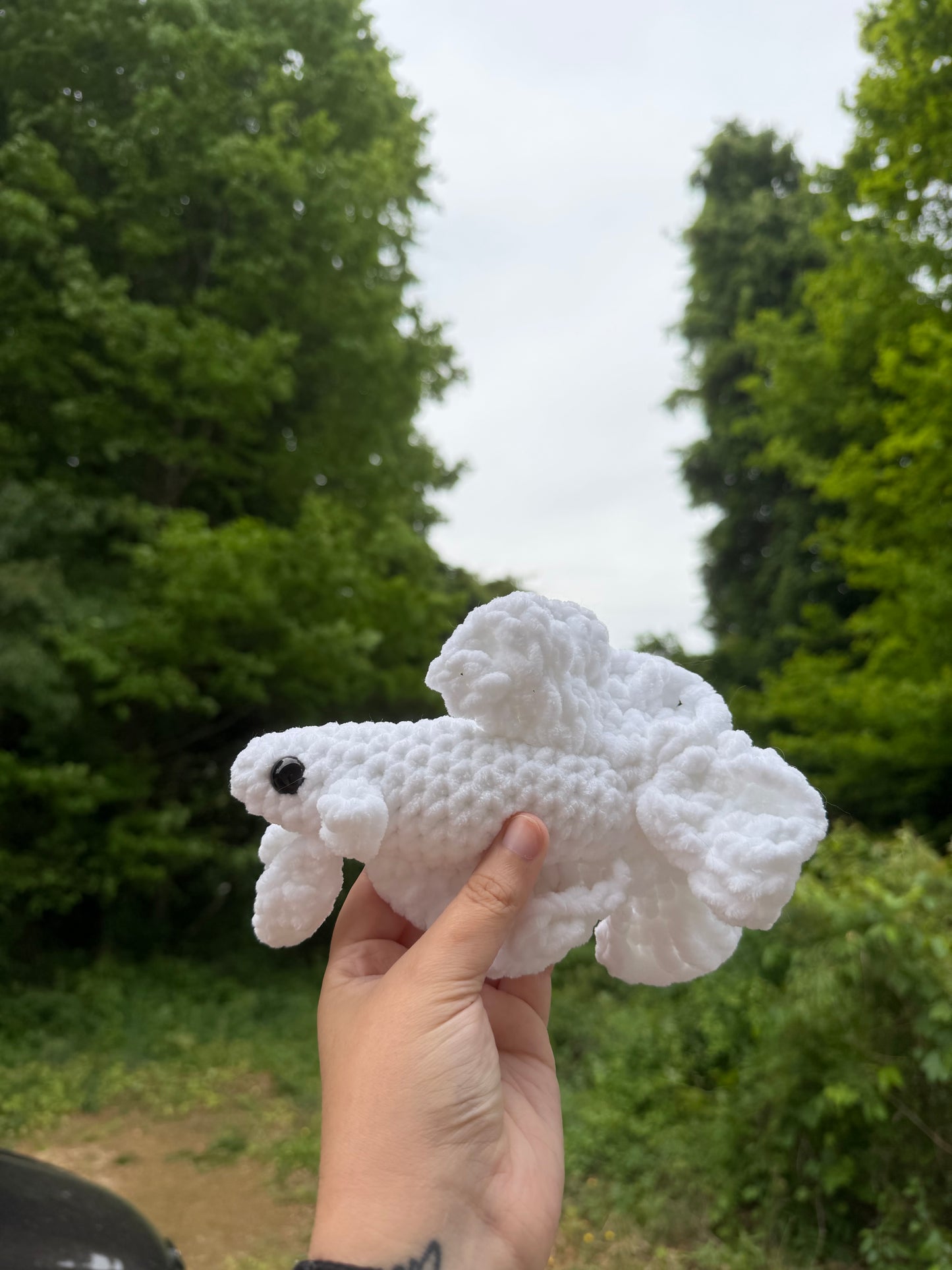 Crochet Beta Fish