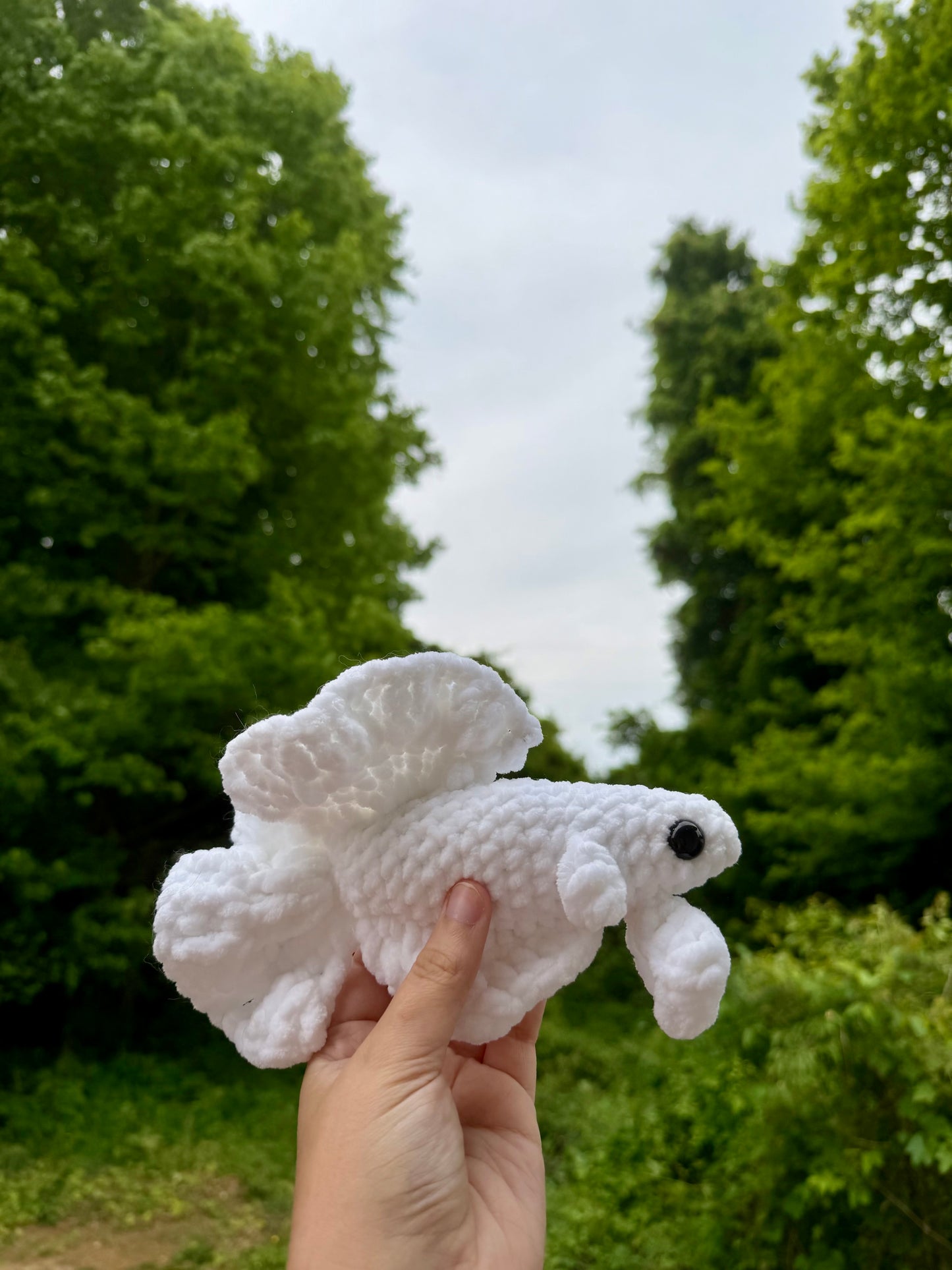 Crochet Beta Fish
