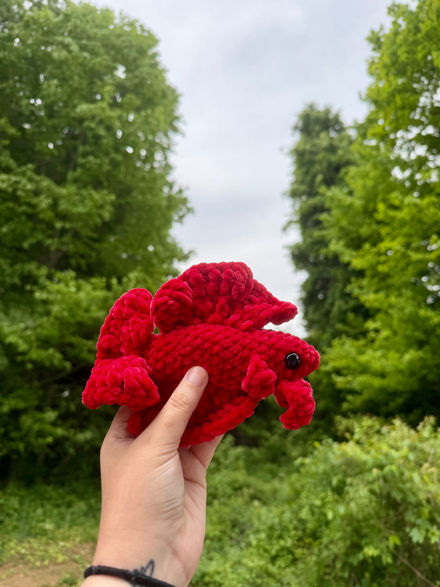 Crochet Beta Fish