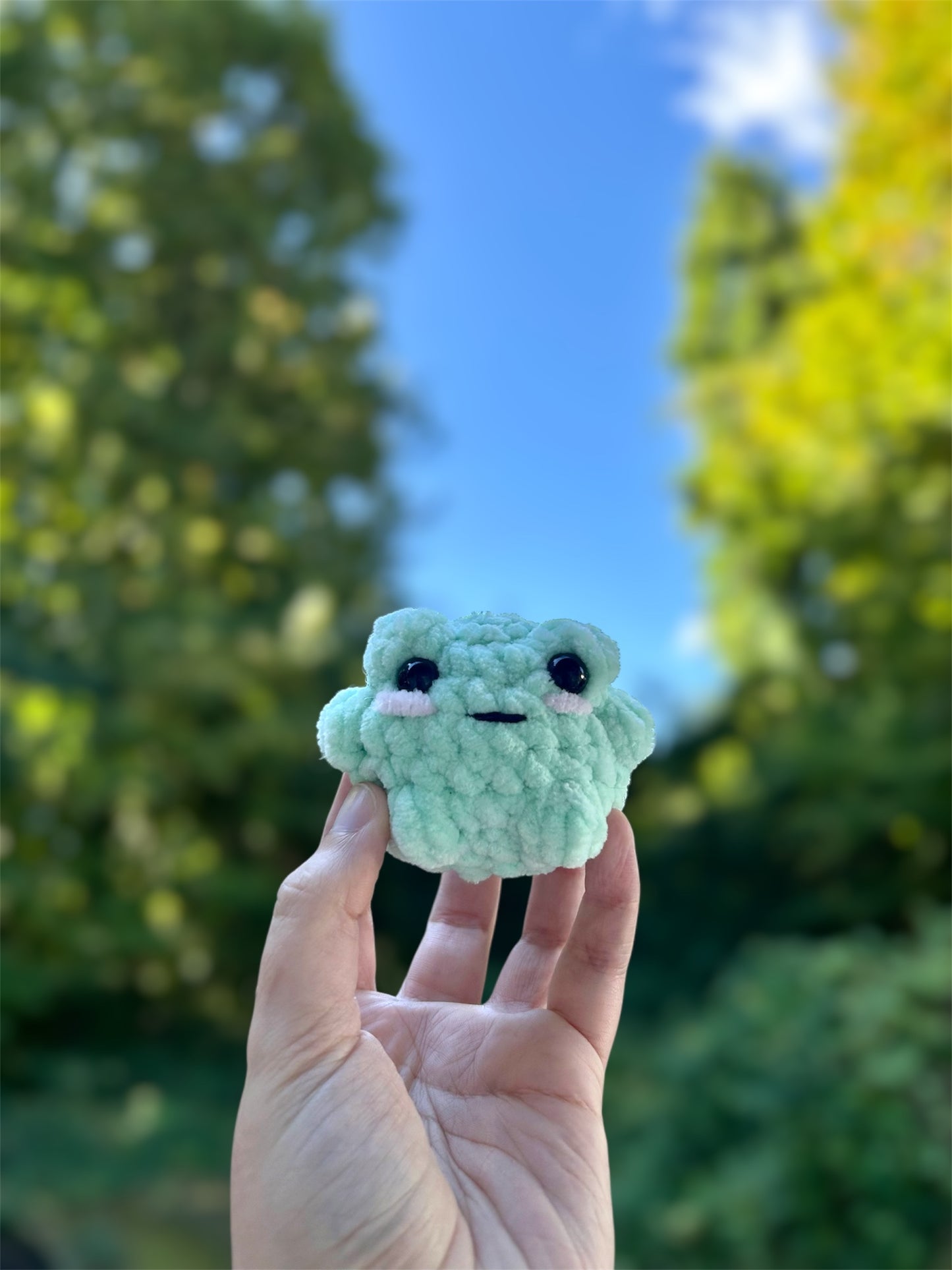 Small Frog Plushie