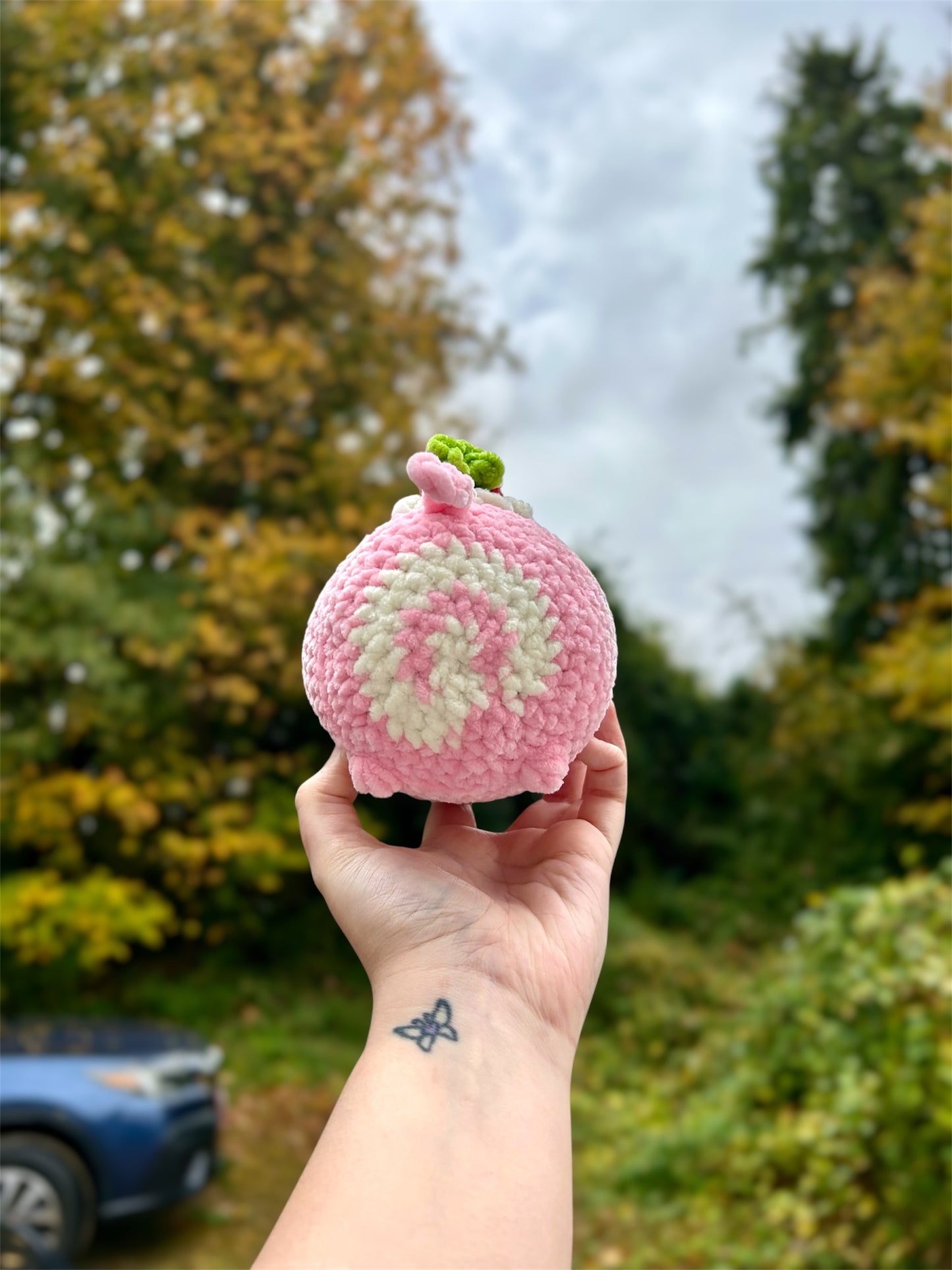 Strawberry Cakeroll Cat